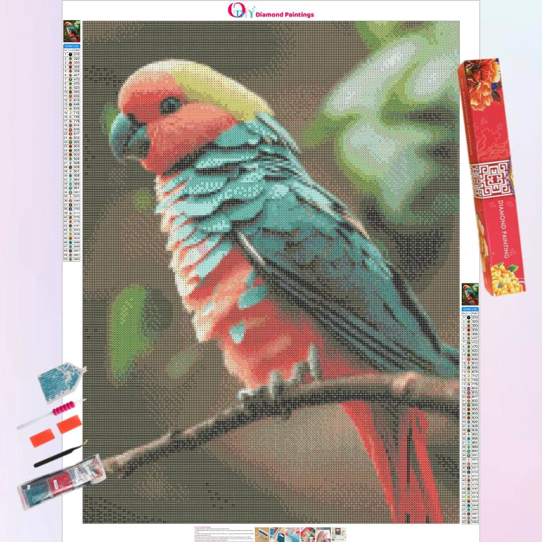 Beautiful Parrot