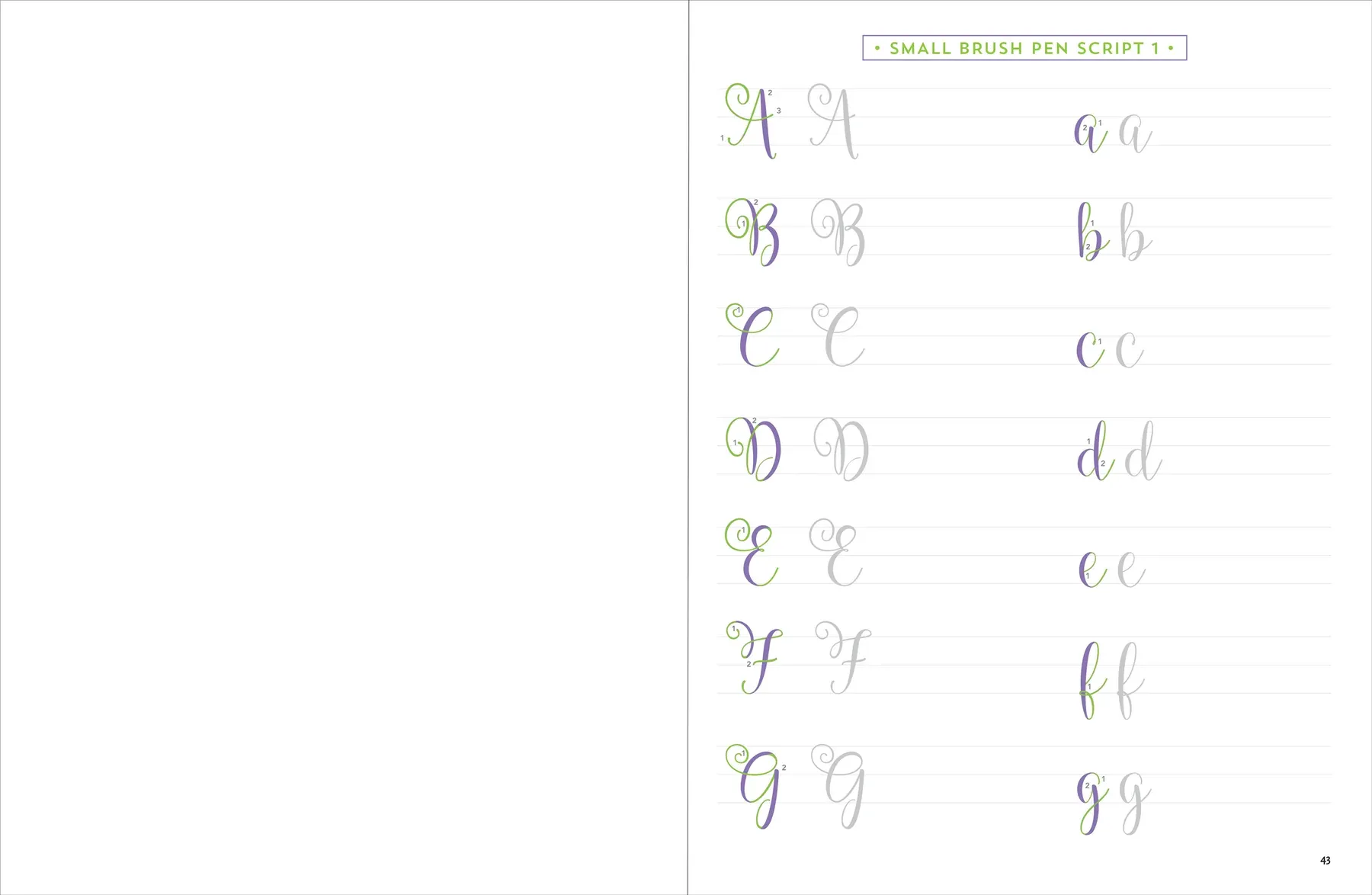 Brush Lettering Workbook