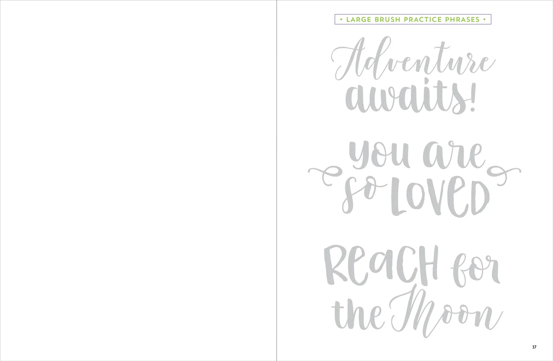 Brush Lettering Workbook