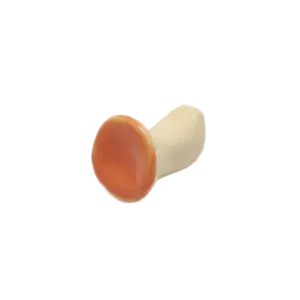 Chopstick Holder - Mushroom